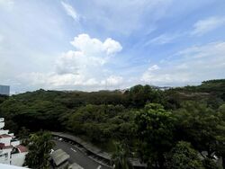 Clementi Park (D21), Condominium #577027101